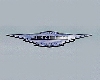 Jensen