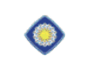 Proton